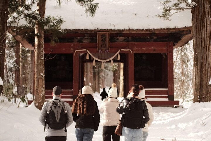 Nagano Snow Monkeys - Privat halvdagstur