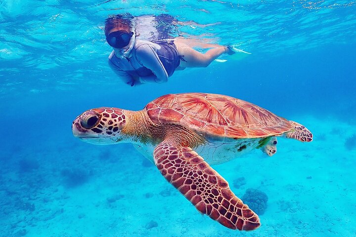 Charter privado con crucero por el Parque Marino Capitán Bonaire 3hrs.