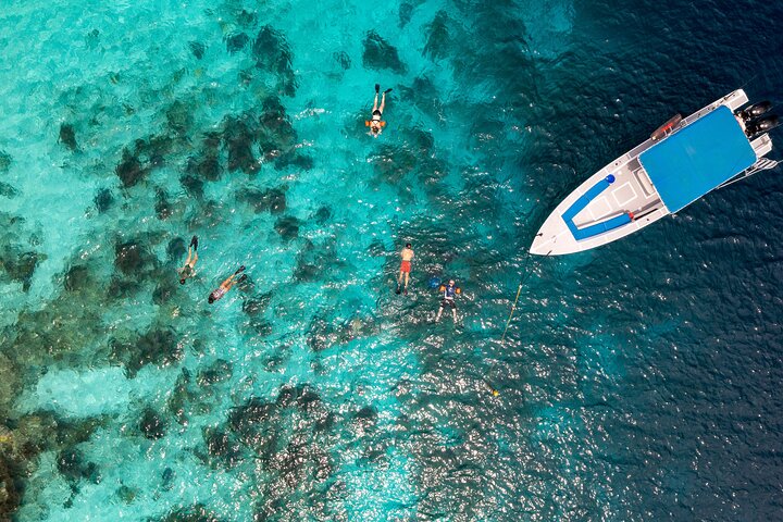 Charter privado con crucero por el Parque Marino Capitán Bonaire 3hrs.