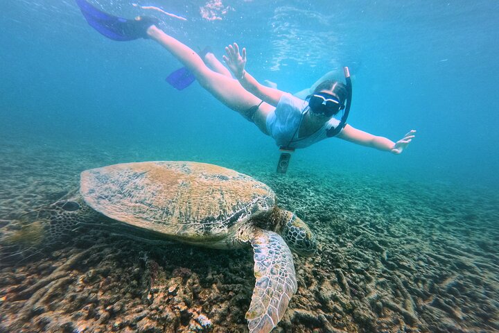Ko Tao: Vintage båd - lille gruppe snorkling dagstur med måltider