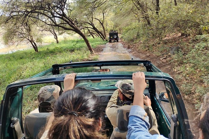 Ranthambore - Deling Tiger Safari i Canter 20 seter kjøretøy