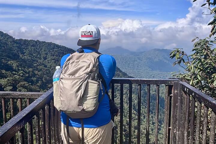 Excursion d'une journée à Cameron Highlands au départ d'Ipoh avec déjeuner et forêt moussue