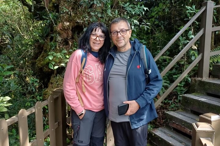 Excursion d'une journée à Cameron Highlands au départ d'Ipoh avec déjeuner et forêt moussue