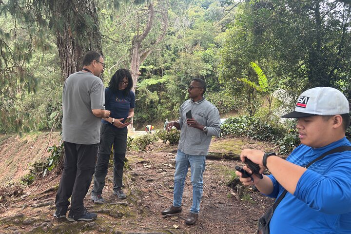 Excursion d'une journée à Cameron Highlands au départ d'Ipoh avec déjeuner et forêt moussue