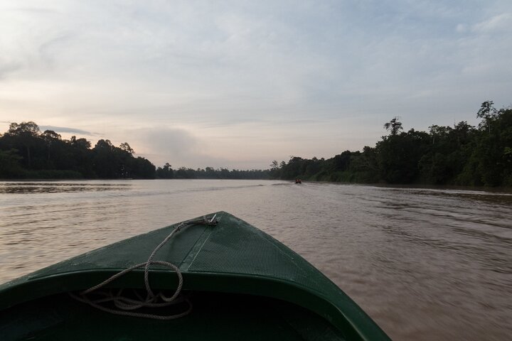 Excursion d'une journée en croisière Sukau Big 5 Sunset au départ de Sandakan (petit groupe)