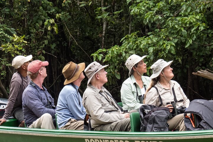 Excursion d'une journée en croisière Sukau Big 5 Sunset au départ de Sandakan (petit groupe)