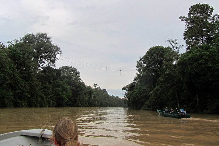Excursion d'une journée en croisière Sukau Big 5 Sunset au départ de Sandakan (petit groupe)