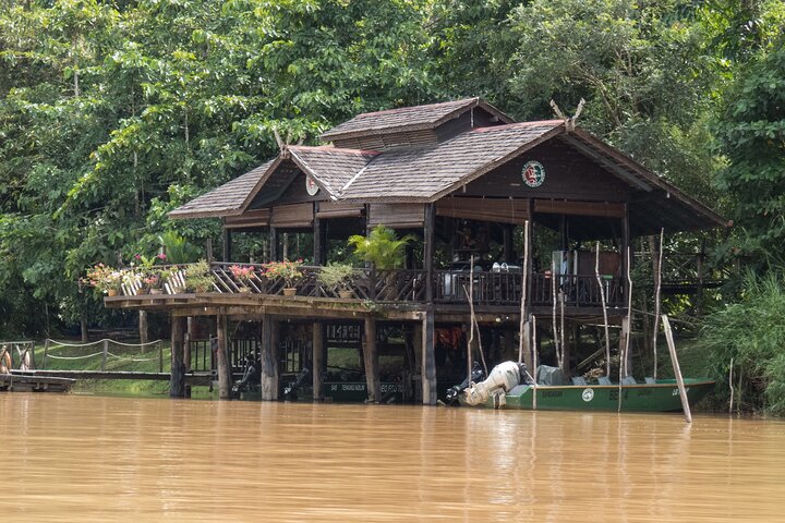 Sandakan : 2D1N Sukau Rainforest Wildlife reis en cruises