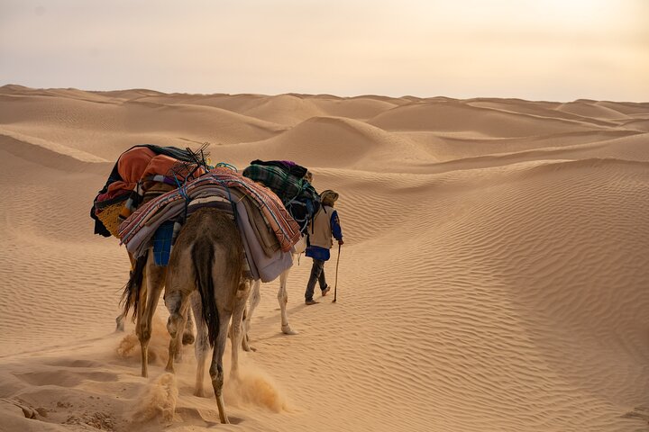 Fra Tunis/Hammamet/Sousse: 2-dagers Sahara-tur med overnatting i telt