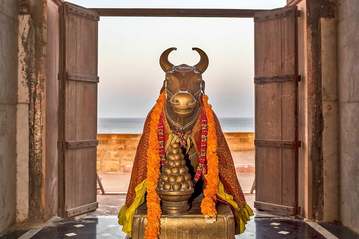 Privat dagstur från Bhuj till Narayan Sarovar Sanctuary