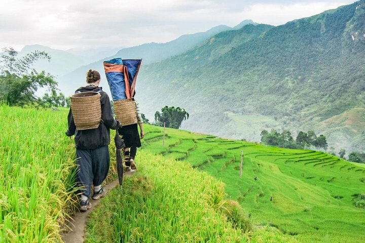 Sapa No-Trek Eco Tour : Valle de Muong Hoa & Ta Van, Spa a pie, Café