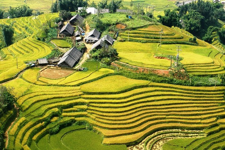 Sapa No-Trek Eco Tour : Valle de Muong Hoa & Ta Van, Spa a pie, Café
