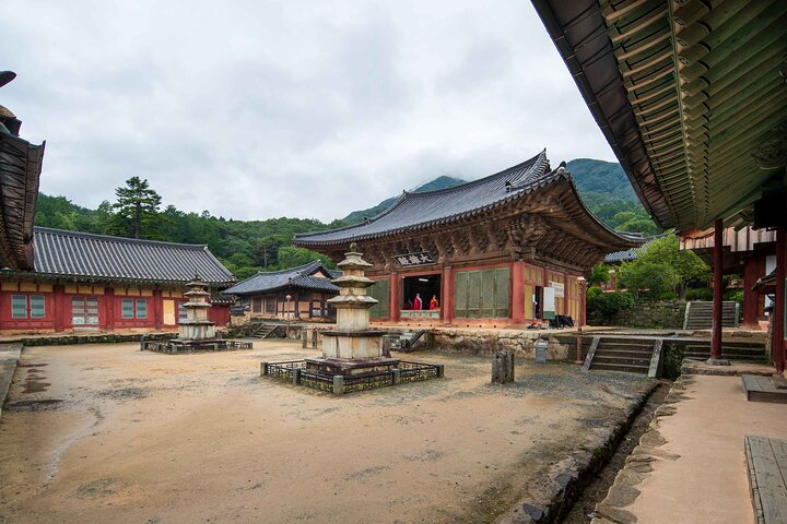Experiência genuína da Coreia-Jeonju, Maisan, Damyang, Templo de Seonamsa