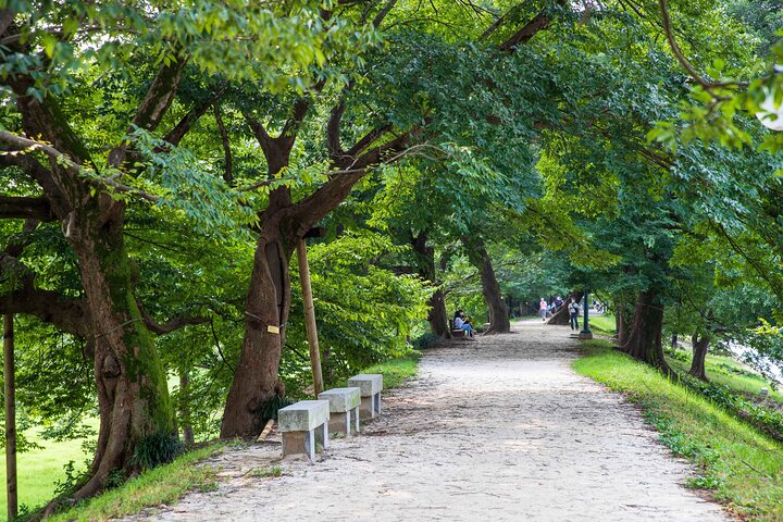 Experiência genuína da Coreia-Jeonju, Maisan, Damyang, Templo de Seonamsa
