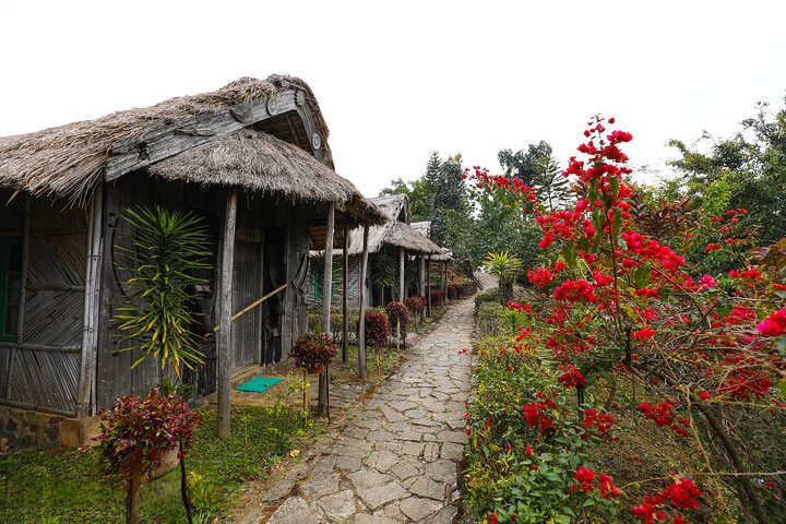 Nagaland & Assam Soft Trekking Tour in Tribal Village