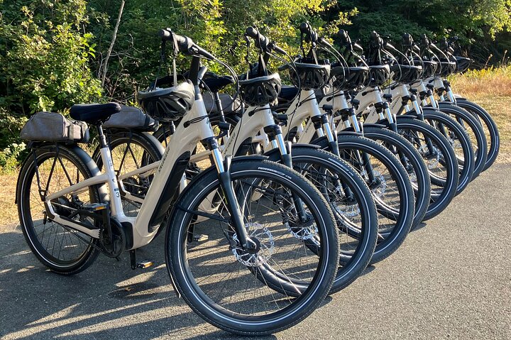 Alquiler de bicicletas eléctricas especializadas Premium del Parque Nacional de Acadia