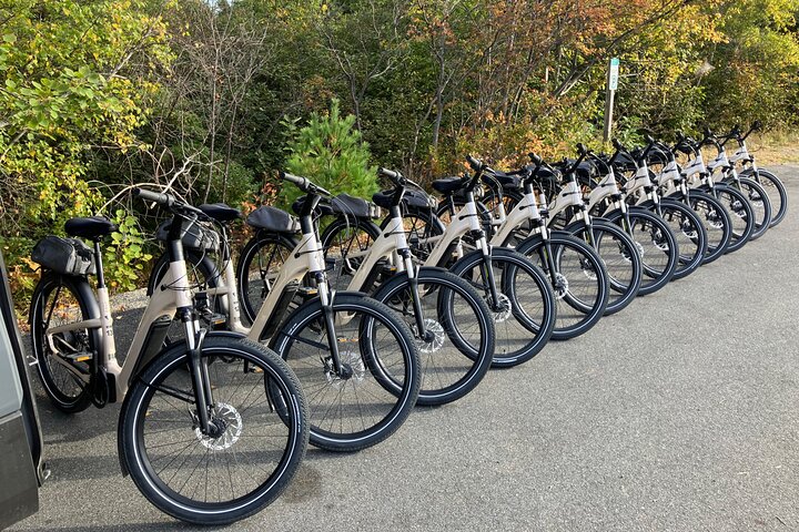 Alquiler de bicicletas eléctricas especializadas Premium del Parque Nacional de Acadia