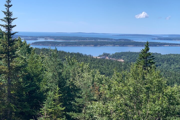 Alquiler de bicicletas eléctricas especializadas Premium del Parque Nacional de Acadia