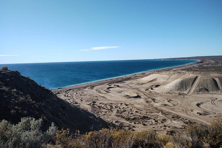 Escursione Circuito Sud - Il meglio di Puerto Madryn per le CROCIERE