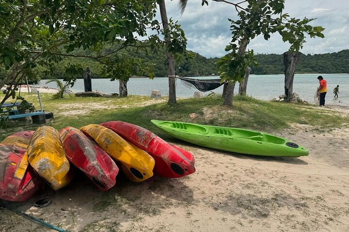 Excursion privée en hors-bord à Koh Madsum (île aux cochons) et Koh Tan