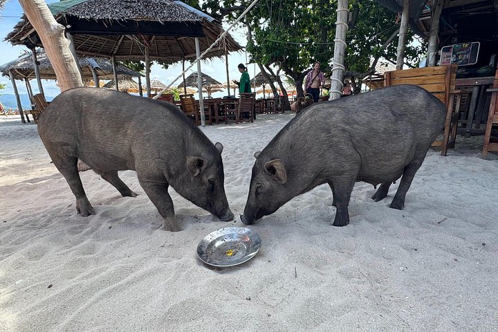 Excursion privée en hors-bord à Koh Madsum (île aux cochons) et Koh Tan