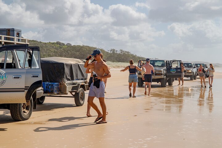Pippies Aventura de 3 dias/2 noites em K'gari (Ilha Fraser)