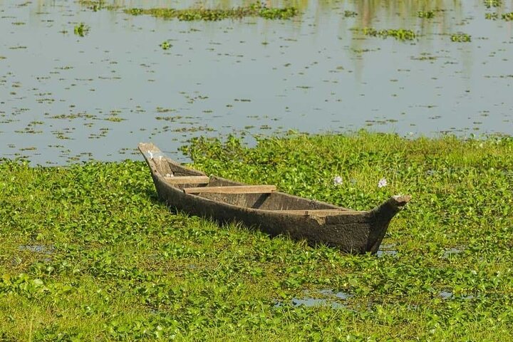 Visite privée du domaine de thé d'Assam, de la forêt tropicale et de l'île de la rivière