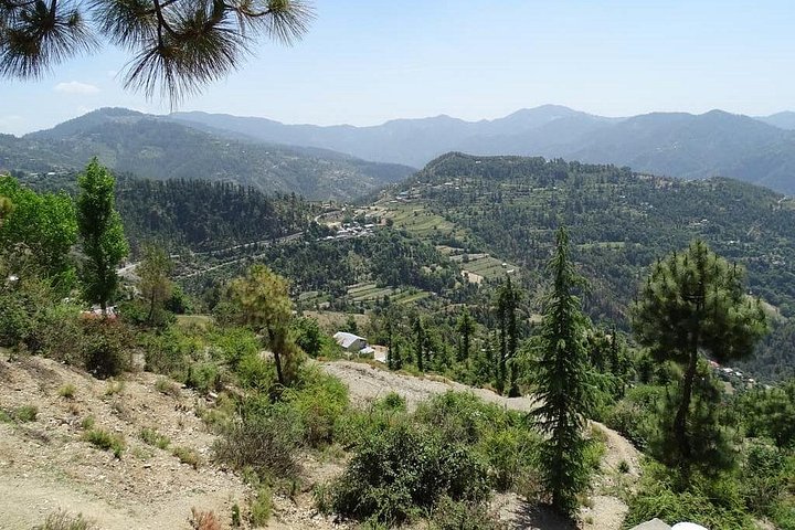 Chandigarh zur Shimla Hill Station 4-tägige private Tour