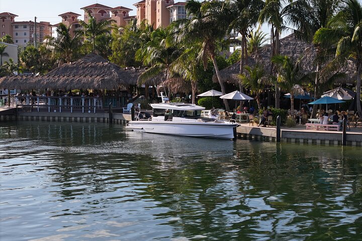 Halbtägige private Tour zum Islamorada Alligator Reef und zur Sandbank