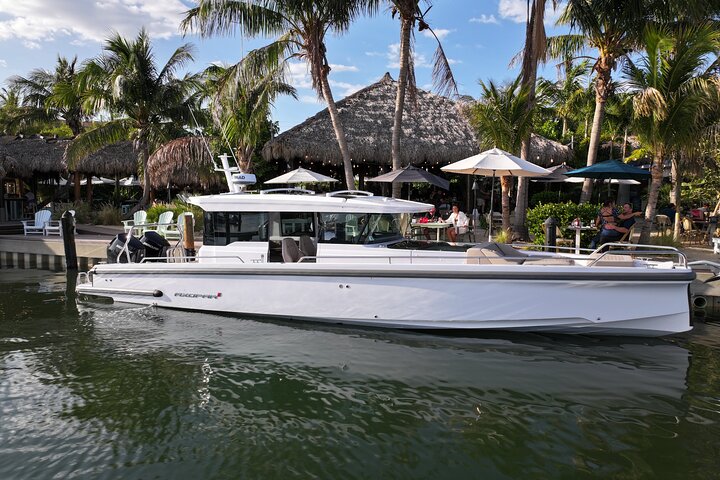 Halbtägige private Tour zum Islamorada Alligator Reef und zur Sandbank
