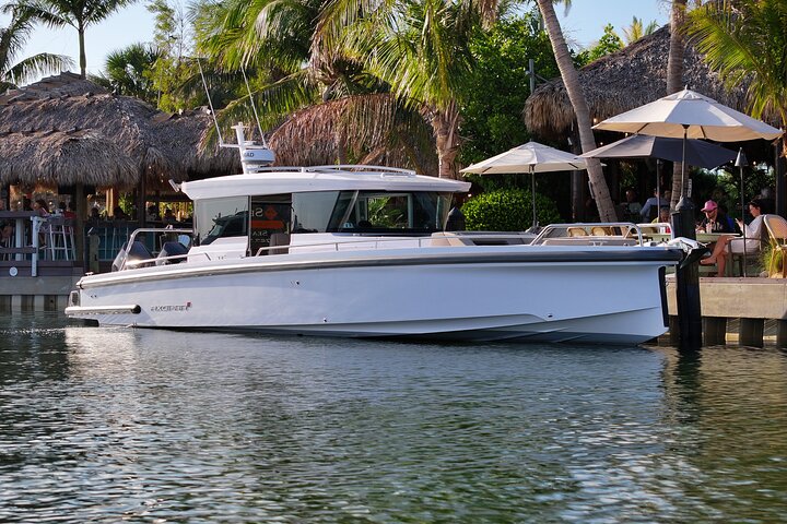Halbtägige private Tour zum Islamorada Alligator Reef und zur Sandbank