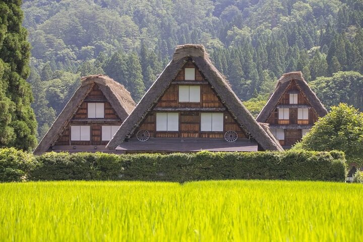 Excursão de 1 dia a Takayama: explore a paisagem de Takayama e Shirakawago