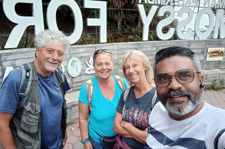 Excursion d'une journée à Cameron Highlands au départ d'Ipoh avec déjeuner et forêt moussue