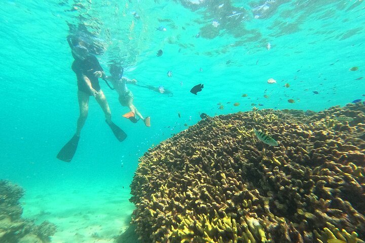 Okinawa : Experiencia Privada de Snorkeling con Guía Inglés Nativo