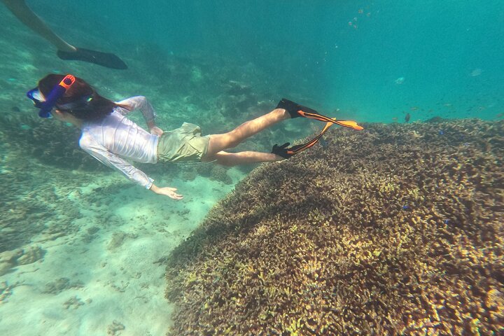 Okinawa : Experiencia Privada de Snorkeling con Guía Inglés Nativo