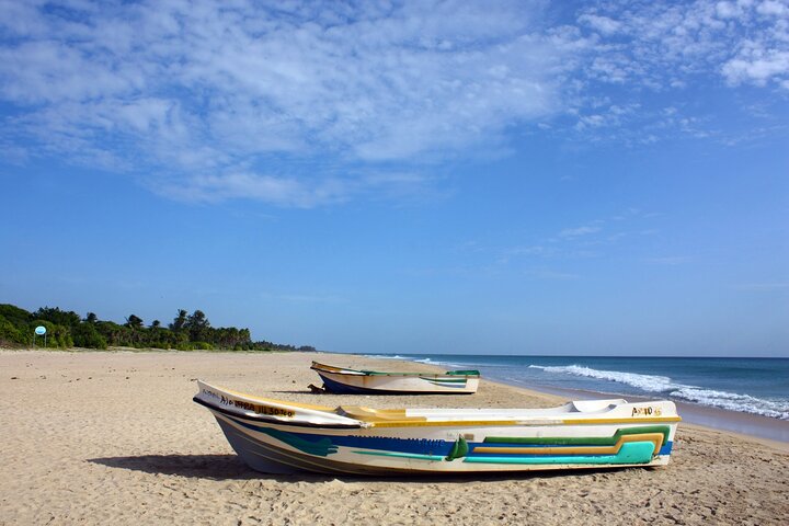 Excursion d'une journée à Trincomalee et Pigeon Island avec déjeuner aux fruits de mer