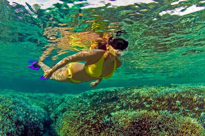 Excursion d'une journée à Trincomalee et Pigeon Island avec déjeuner aux fruits de mer