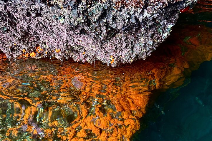 Kajak- og snorkeltur i Cerro Gordo Naturpark, La Herradura