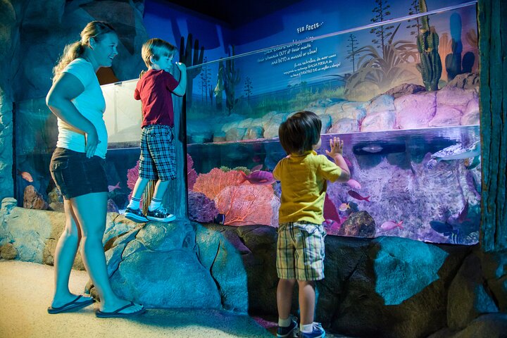 Billet d'entrée à l'aquarium SEA LIFE Kansas City