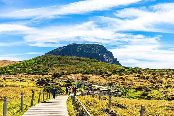 Jeju South-West Essentials : Hallasan & Signature hoogtepunten