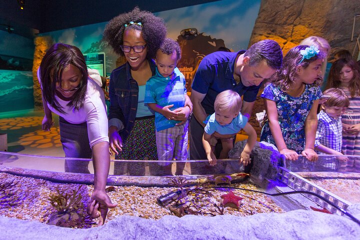 Billet d'entrée à l'aquarium SEA LIFE Kansas City