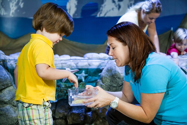 Billet d'entrée à l'aquarium SEA LIFE Kansas City