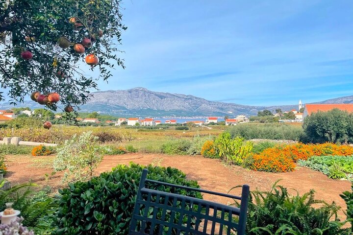 Korčula Island Halve dag tour met een lokale Gids
