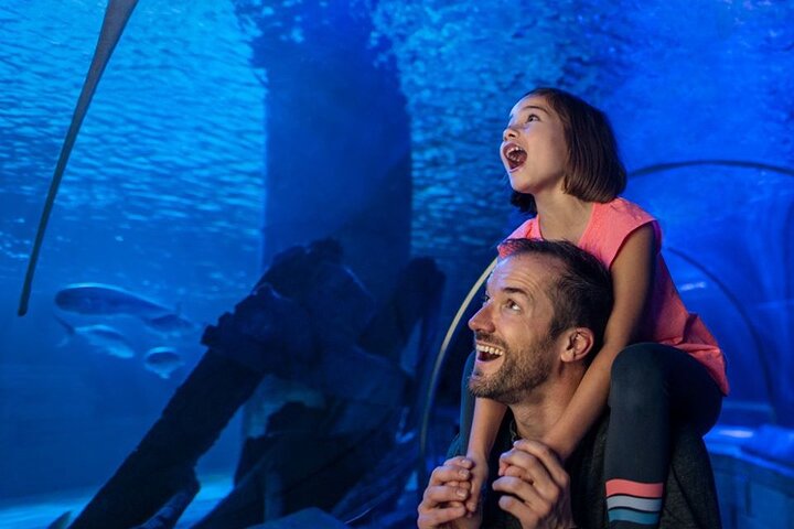 Entrada al acuario SEA LIFE Minnesota en Mall of America