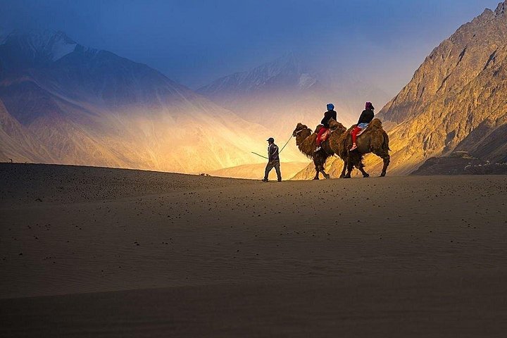 Privater Tagesausflug - Leh zum Nubra Valley über Khardung La Pass