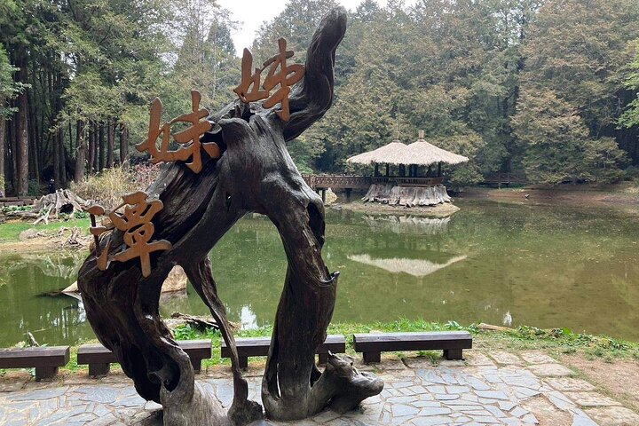 Excursión de un día al bosque nacional Alishan desde Taichung con recogida en el hotel