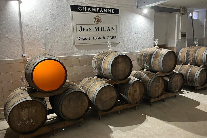 Visita di mezza giornata a Epernay South e degustazioni di champagne