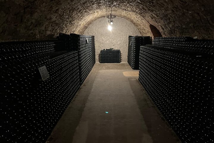 Visita di mezza giornata a Epernay South e degustazioni di champagne