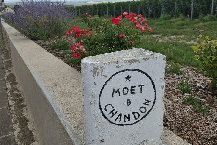 Visita di mezza giornata a Epernay South e degustazioni di champagne
