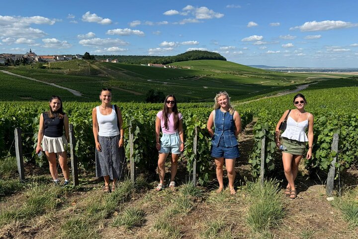 Visita di mezza giornata a Epernay South e degustazioni di champagne